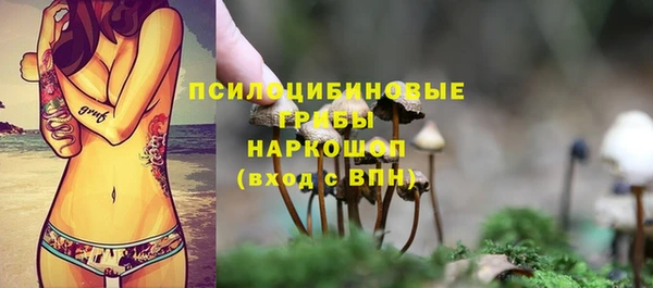 шишки Липки