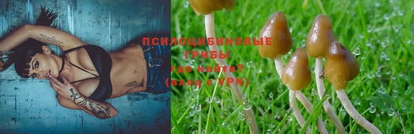 шишки Липки