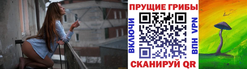 Псилоцибиновые грибы прущие грибы  OMG ONION  Цоци-Юрт 