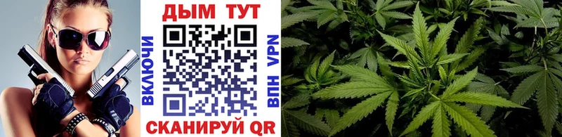 наркота  Цоци-Юрт  Бошки Шишки SATIVA & INDICA 